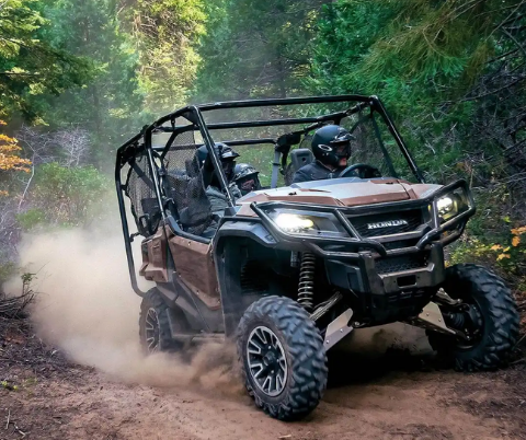 Offroad side by side in the woods