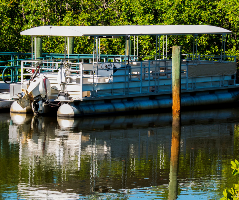 Image of pontoon docked