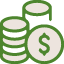 Coins icon