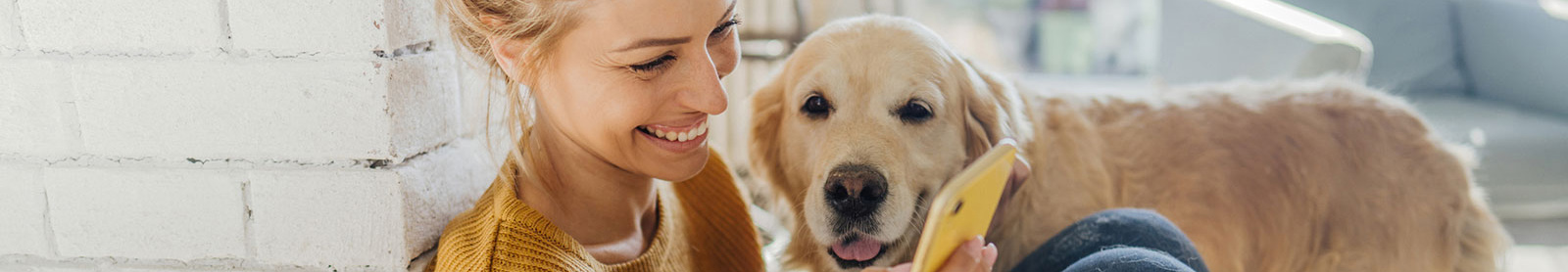 Woman sitting next to dog, using phone in living room