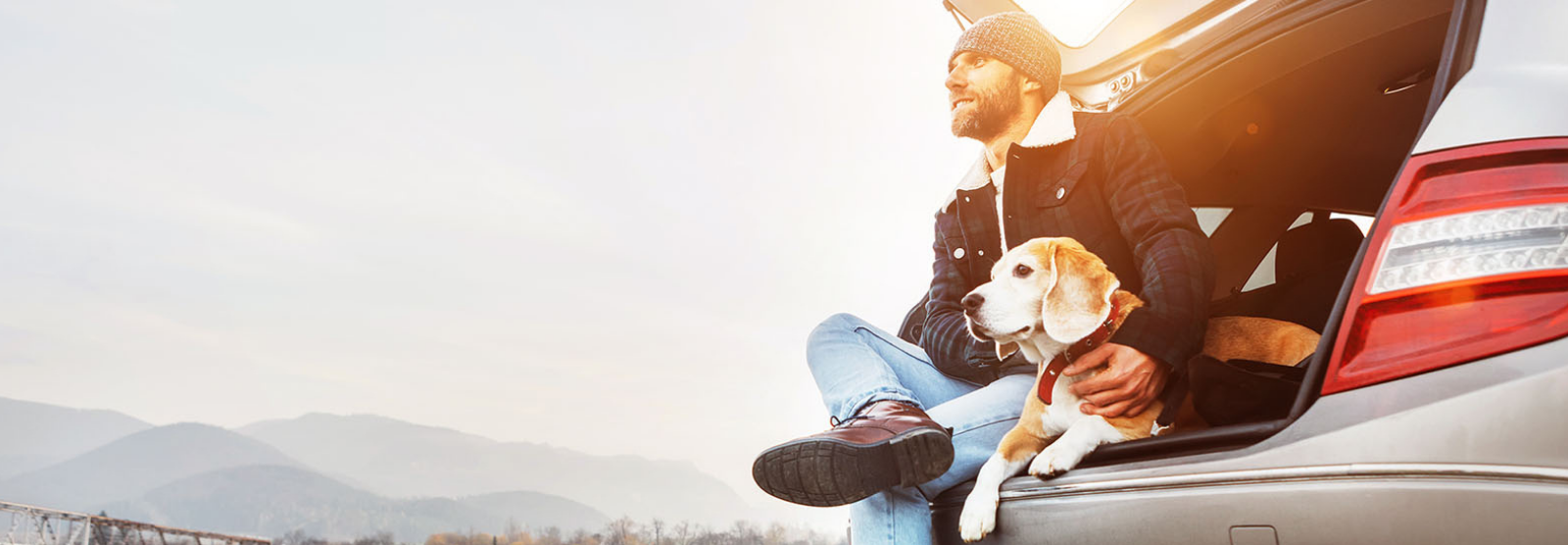 Man and dog looking out at the horizon on car bumper